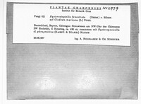 Image Associated With the Occurence